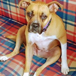 Meet your Posher, Douglas